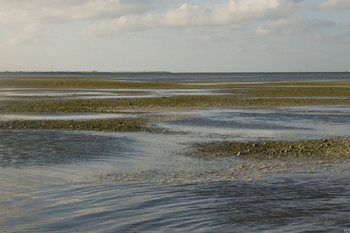 Ship Sinking Sandbars