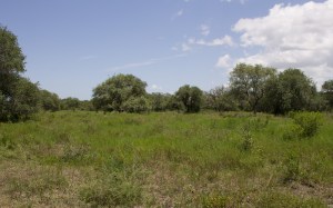 Environment surrounding Fort Saint-Louis.