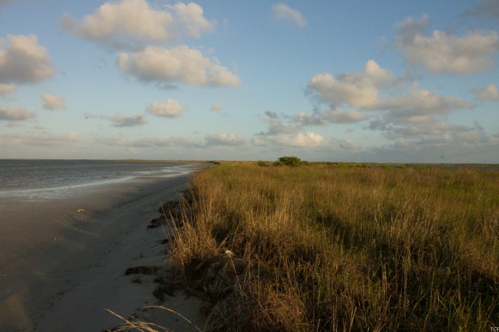 Alex Perez, Karankawa Kadla Member, Publishes&nbsp;Book